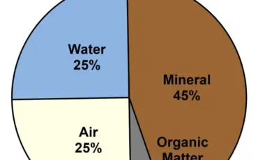 Key Components of Soil Composition