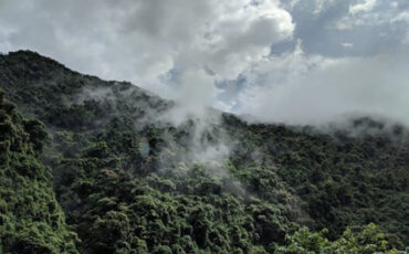 What Role Do Engineers Play in Climate Resilience and Disaster Mitigation?